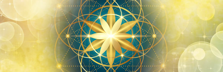 オンライン「アクティベーション体験会」ワークショップ