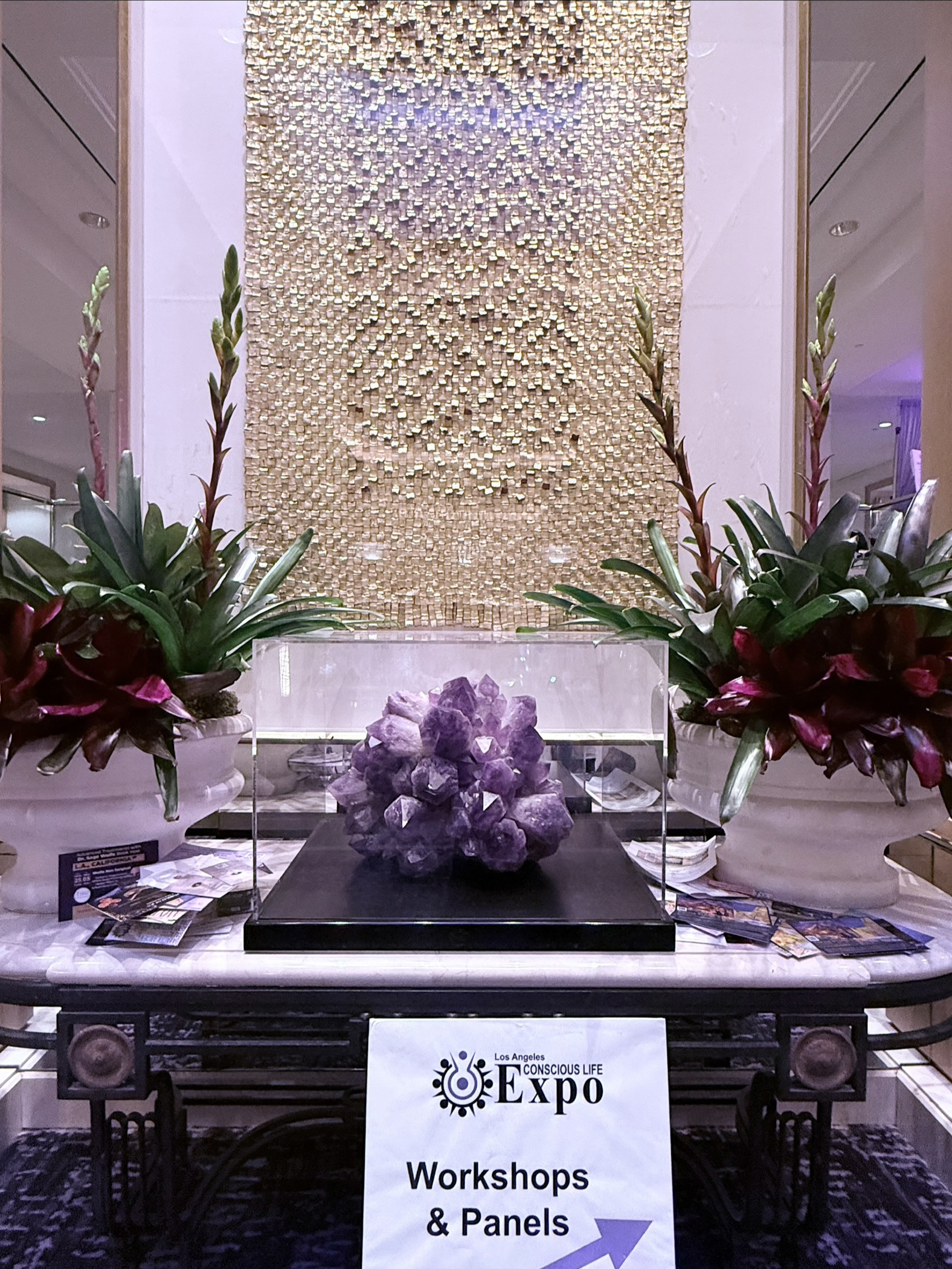 コンシャス エキスポ