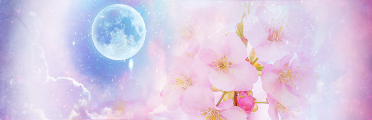 内側からカタをつける